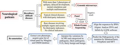 Phenotype-Driven Virtual Panel Is an Effective Method to Analyze WES Data of Neurological Disease